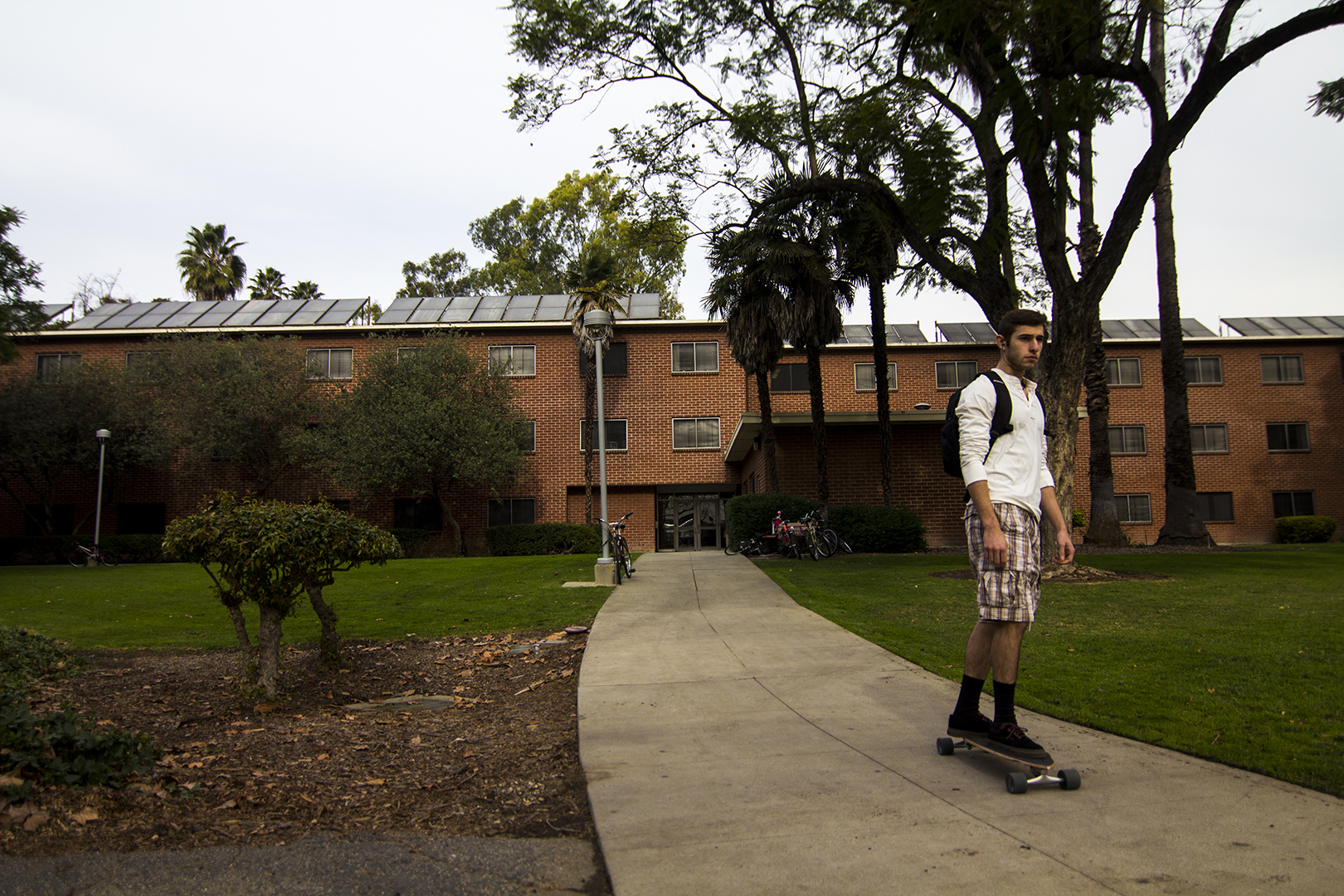 Traditional Halls