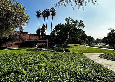 Encinitas Lawn