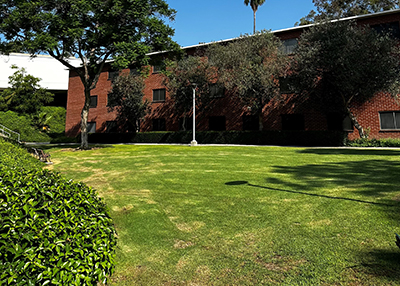 Encinitas Lawn