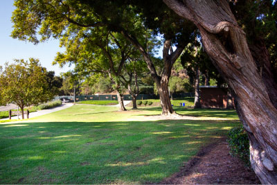 Encinitas Lawn