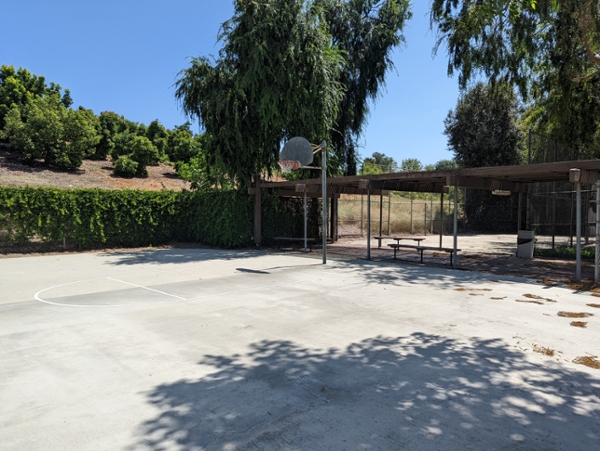 Traditional Halls Basketball Court