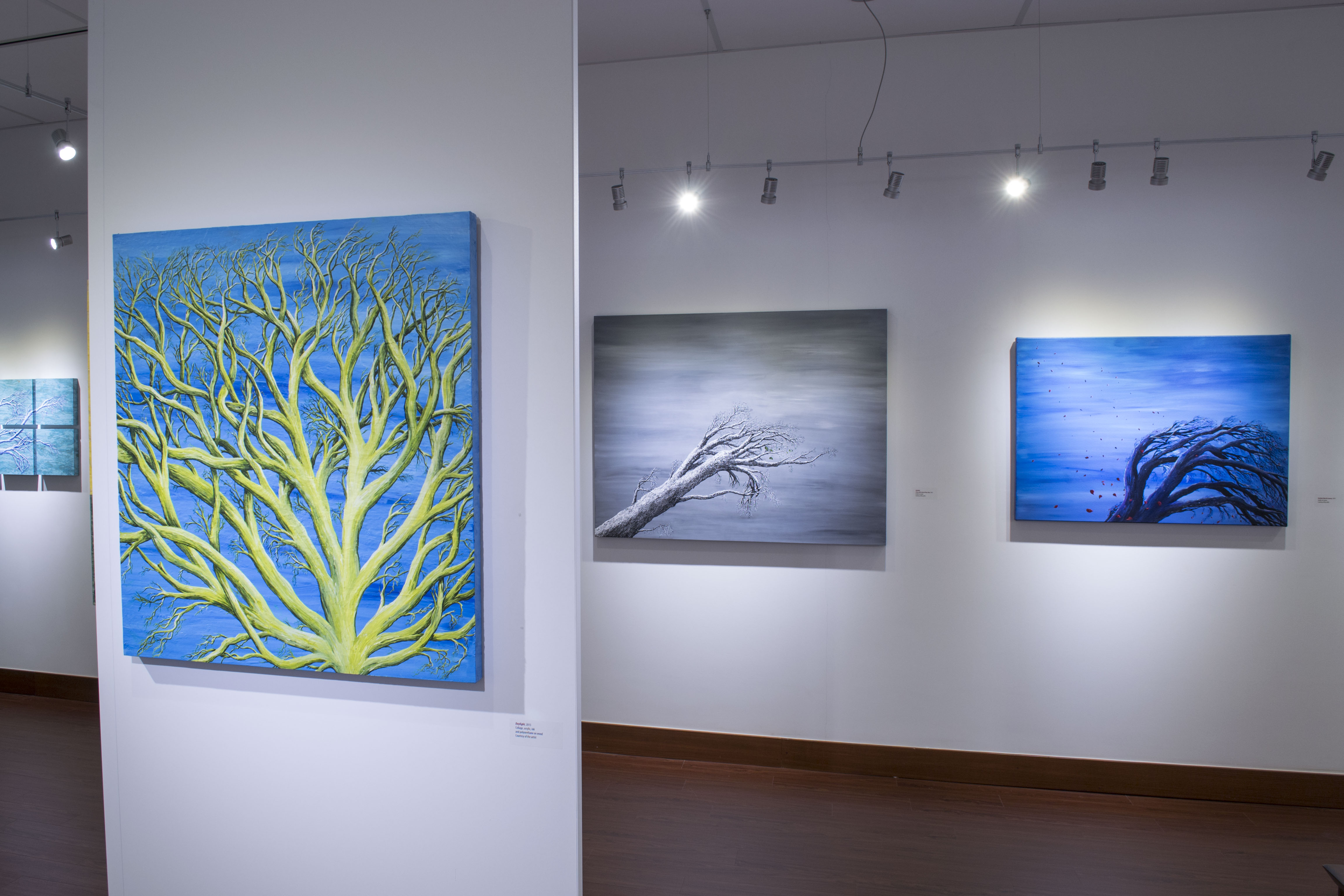 Installation View, Front of Gallery, Roxene Rockwell In The Forests and Trees, 2015.