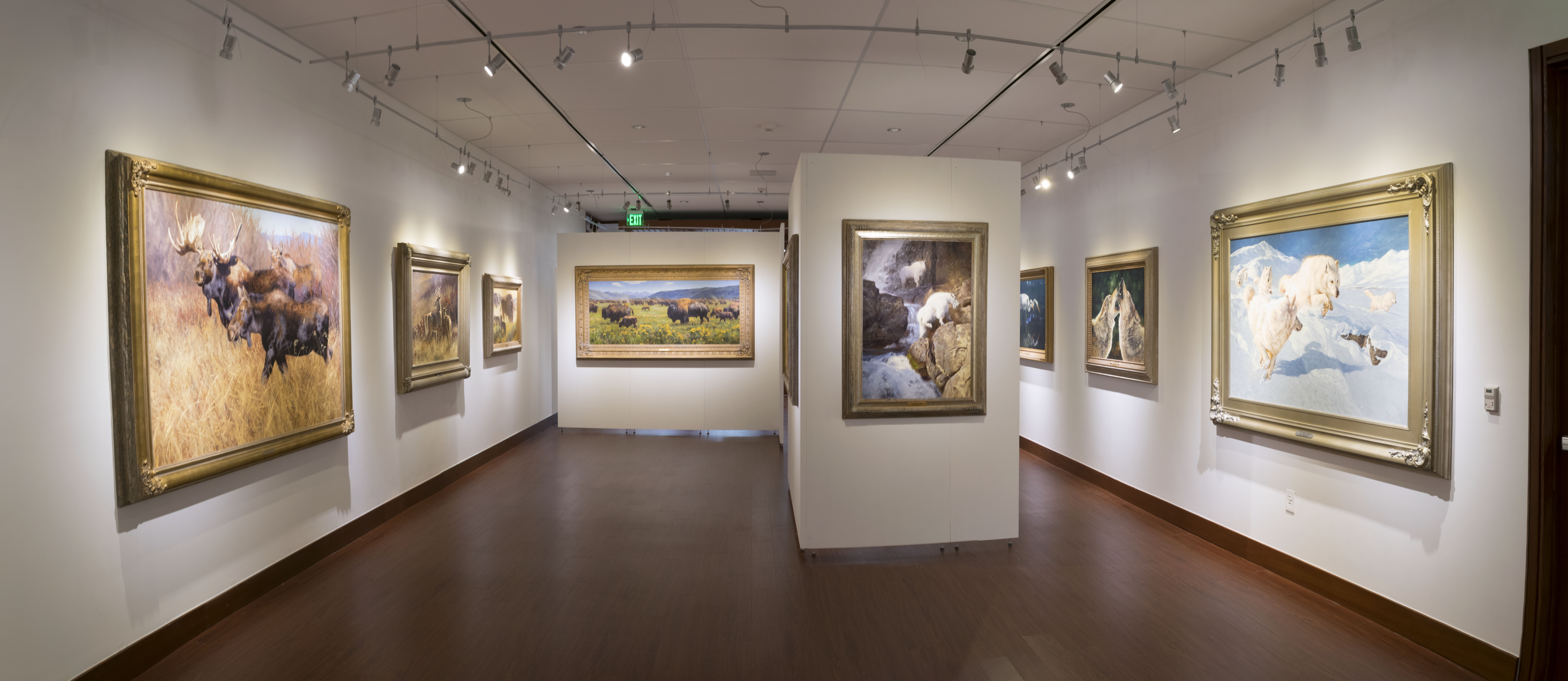 Installation View, Backof Gallery, Creatures of the Wild West: Selections from the Don B. Huntley Collection, 2016.