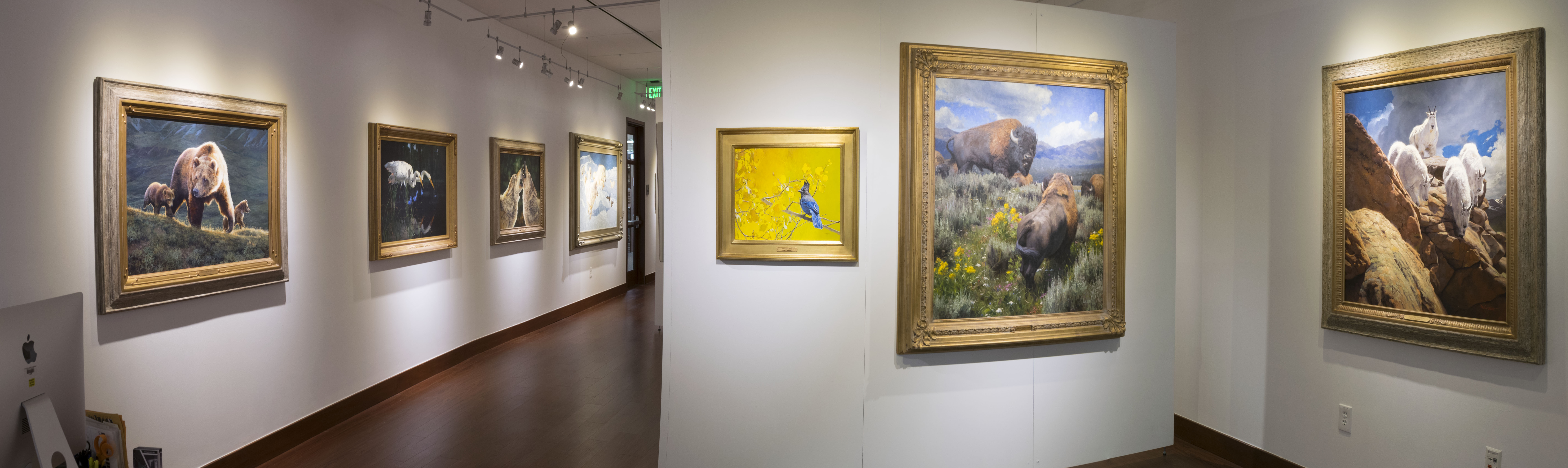 Installation View, Front of Gallery, Creatures of the Wild West: Selections from the Don B. Huntley Collection, 2016.