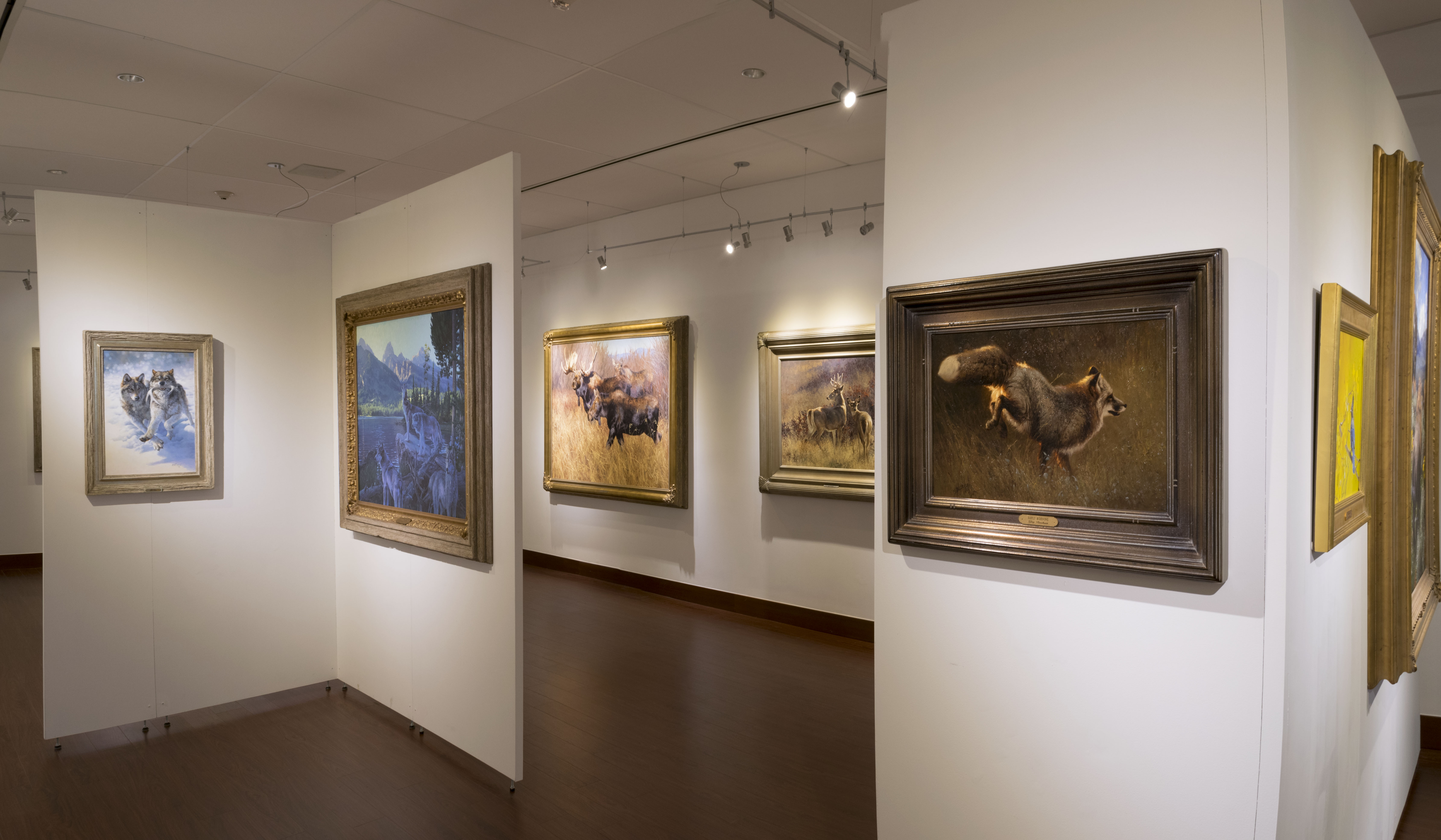 Installation View, Front of Gallery, Creatures of the Wild West: Selections from the Don B. Huntley Collection, 2016.