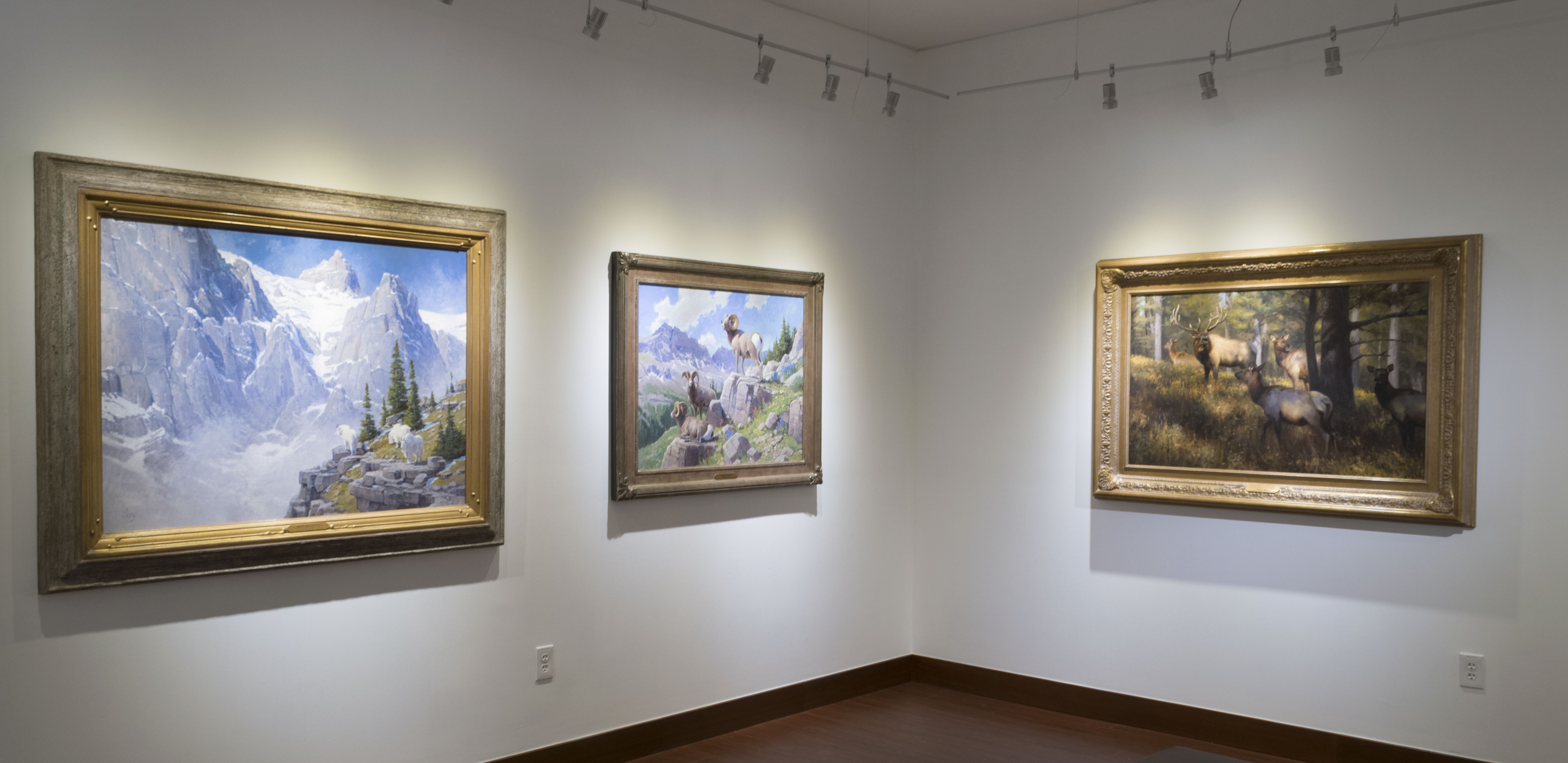 Installation View, Back of Gallery, Creatures of the Wild West: Selections from the Don B. Huntley Collection, 2016.