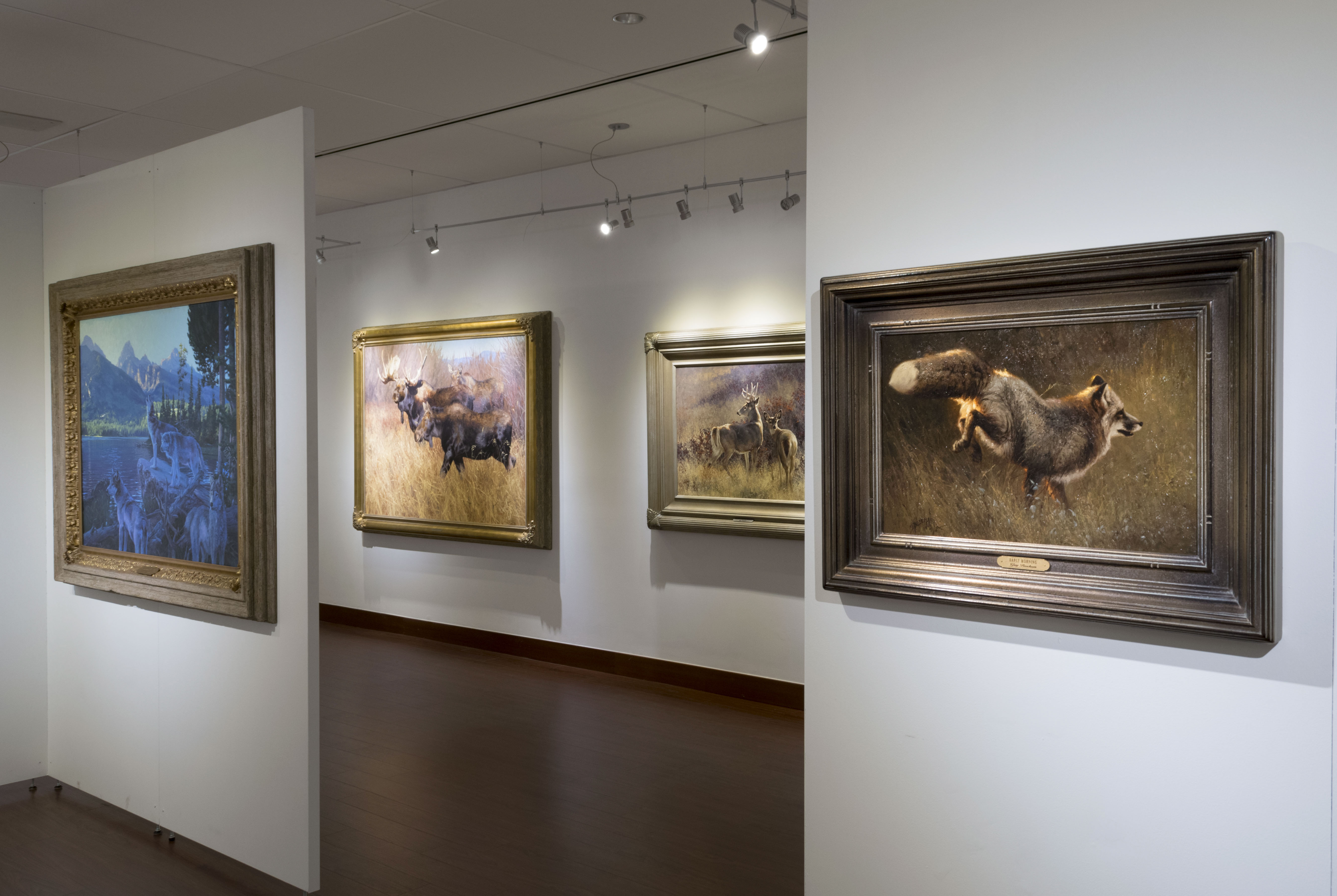 Installation View, Backof Gallery, Creatures of the Wild West: Selections from the Don B. Huntley Collection, 2016.