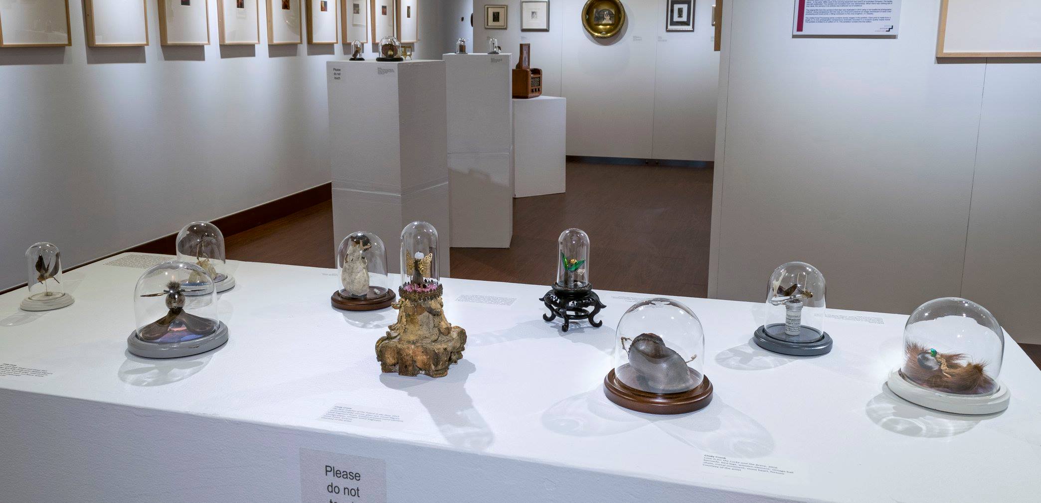 Installation View, Front of Gallery, Marvels, Mysteries & Miniatures The Work of Cindy Cronk, Marianela de la Hoz and John Montich Exhibition, 2016