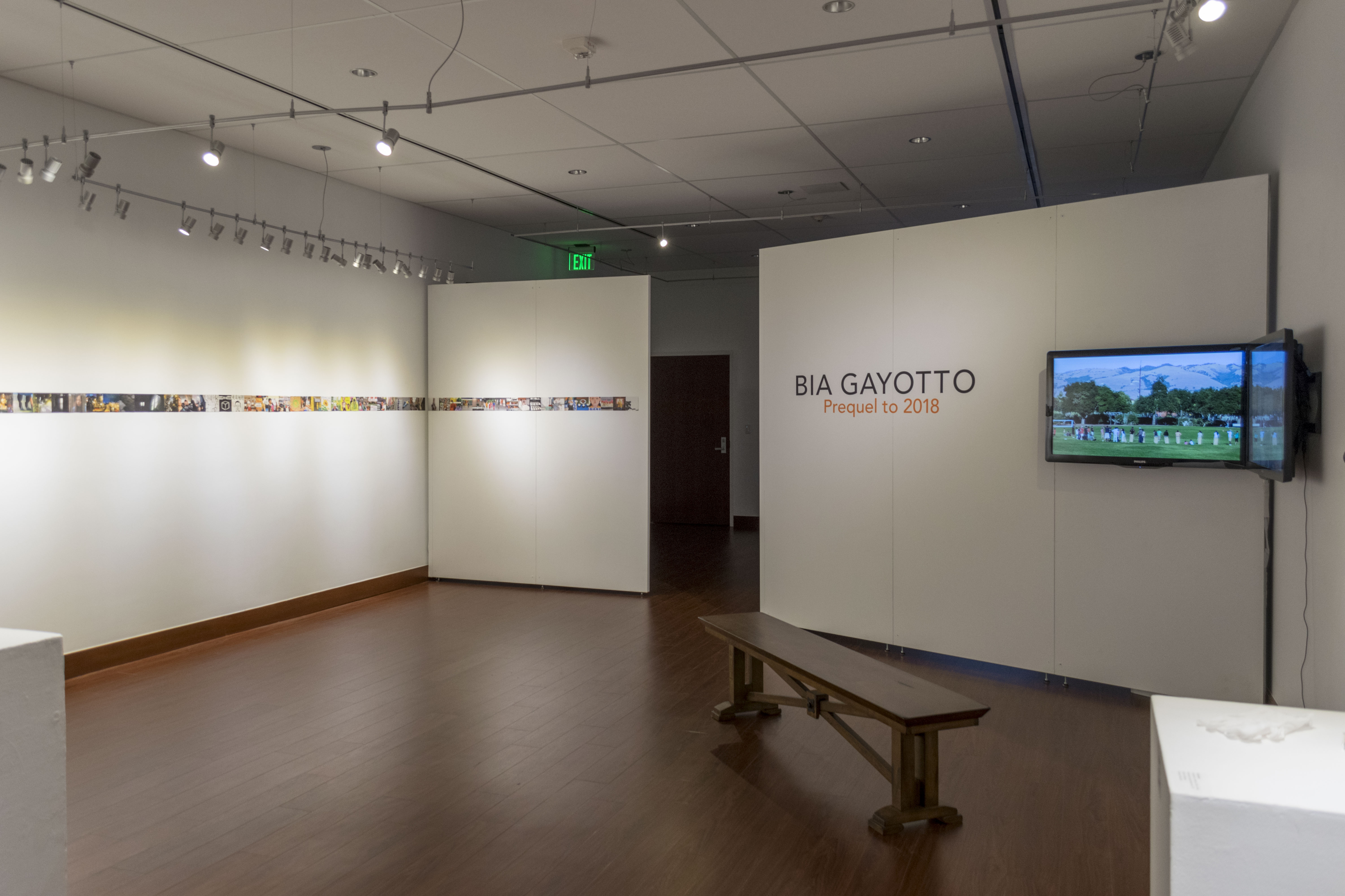 Installation View, Front of Gallery, Bia Gayotto: Prequel to 2018 Exhibition, 2017.