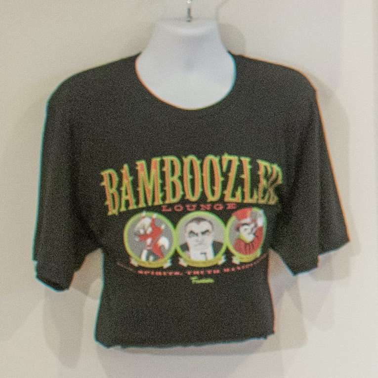 image of tee shirt with "bamboozled" logo