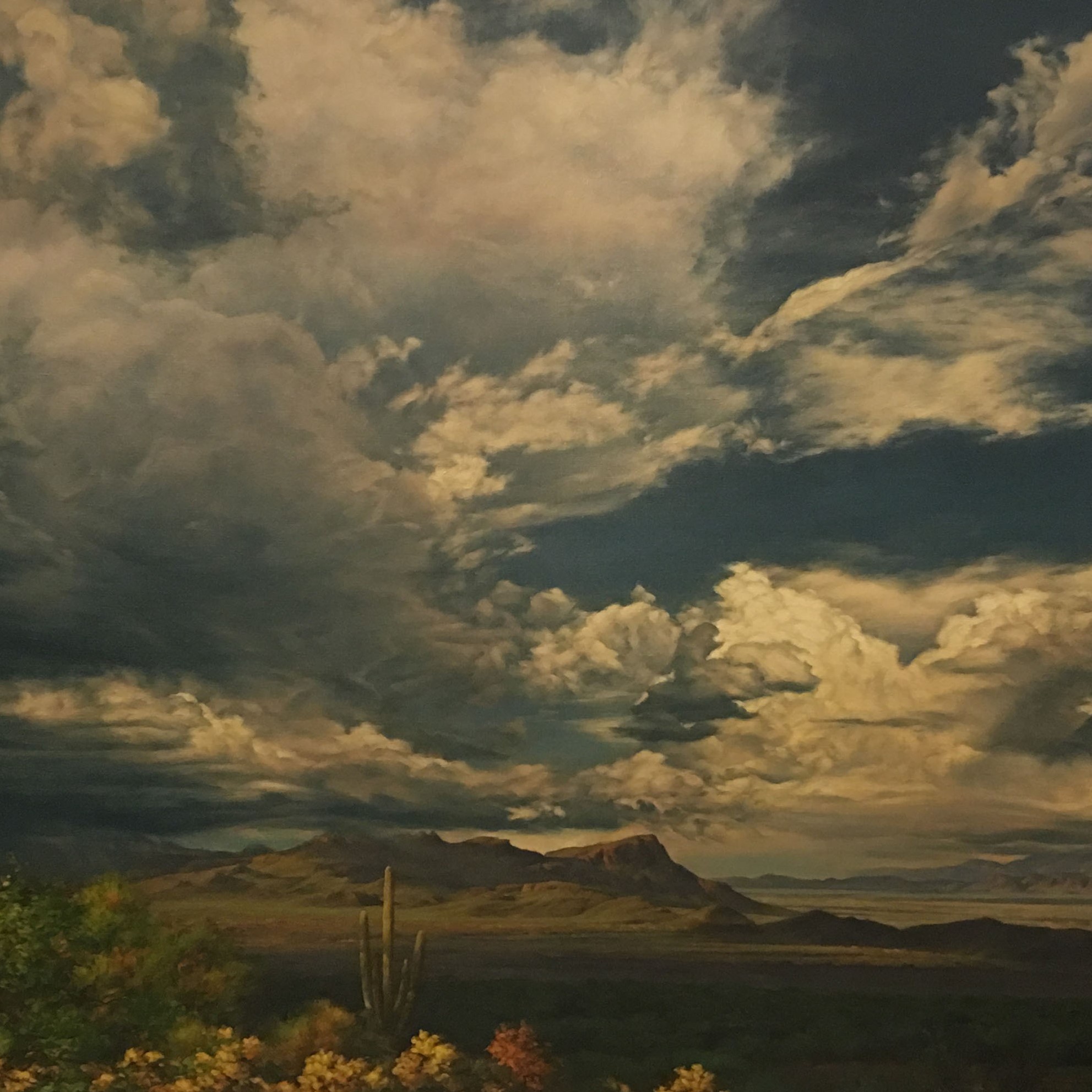 A Monsoon Sky at Dove Mt. Arizona