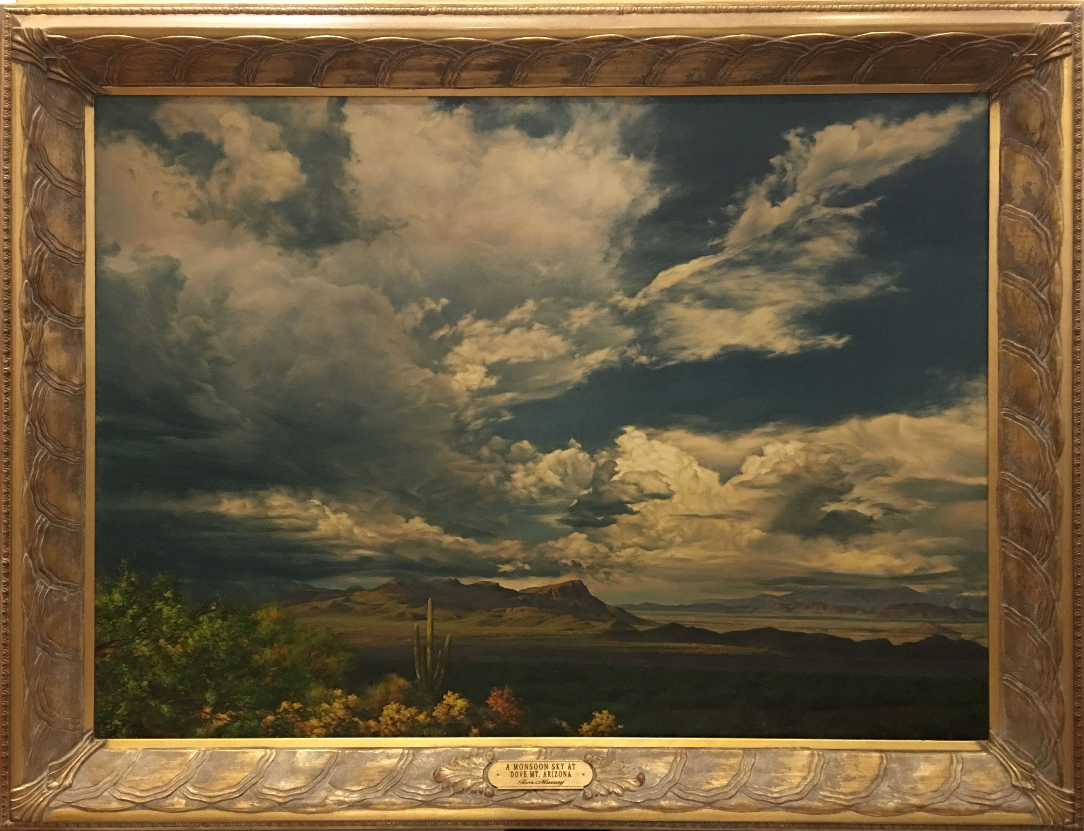 A Monsoon Sky at Dove Mt. Arizona