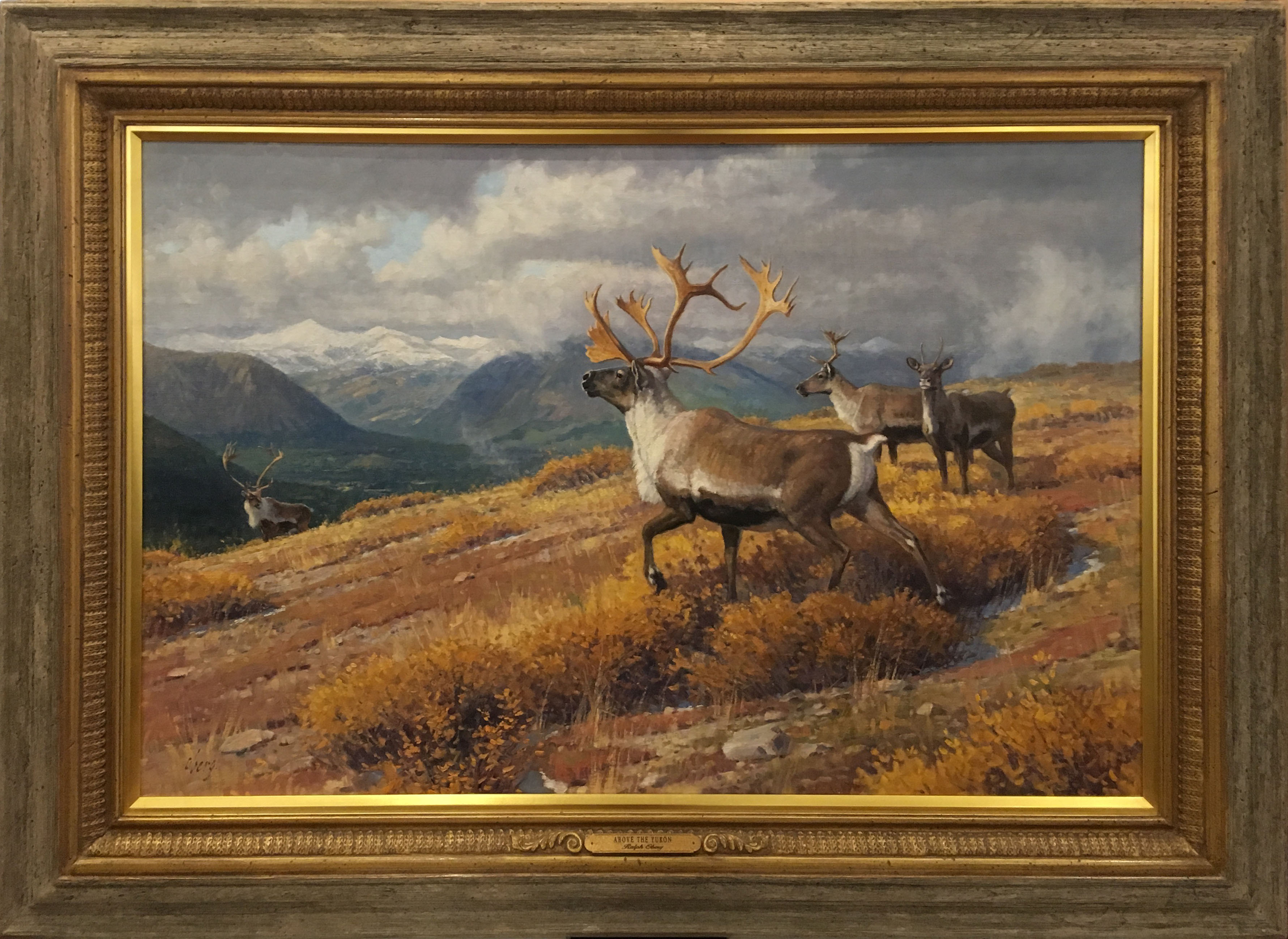 Above the Yukon (Caribou)