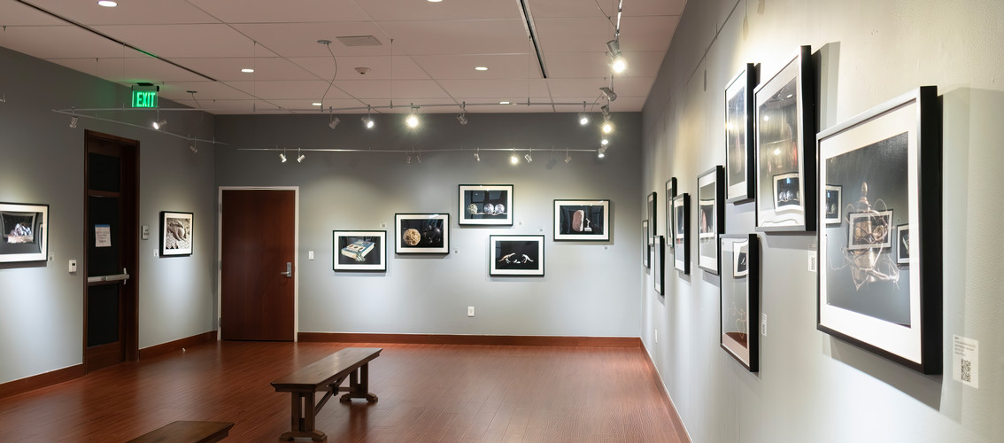 installation view of the back with many picture frames and benches in the middle