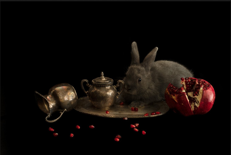 bunny on a plate with two jars and a pomagranate 