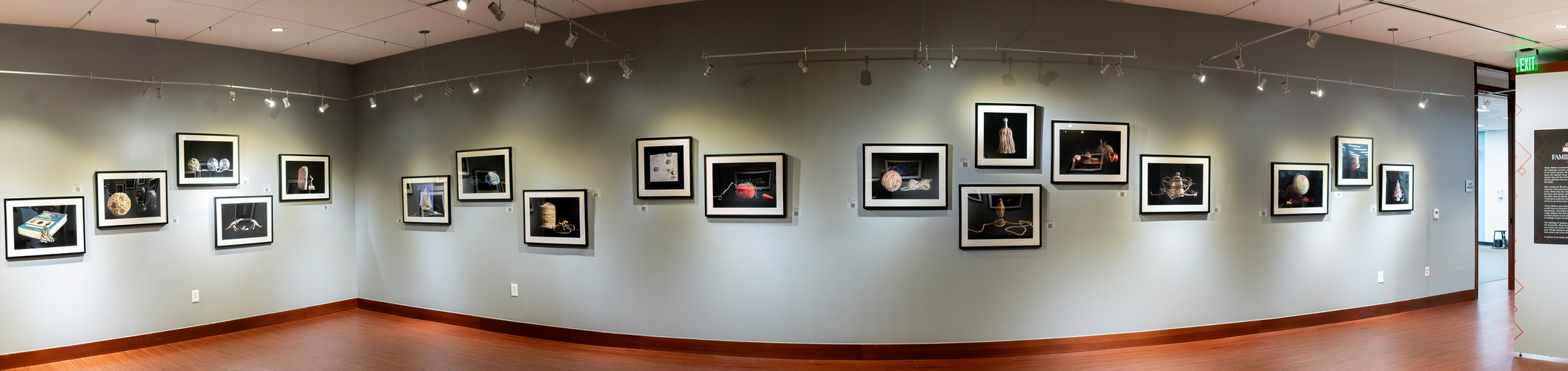 installation view of the back with several framed pictures of Jane Szabo's art work