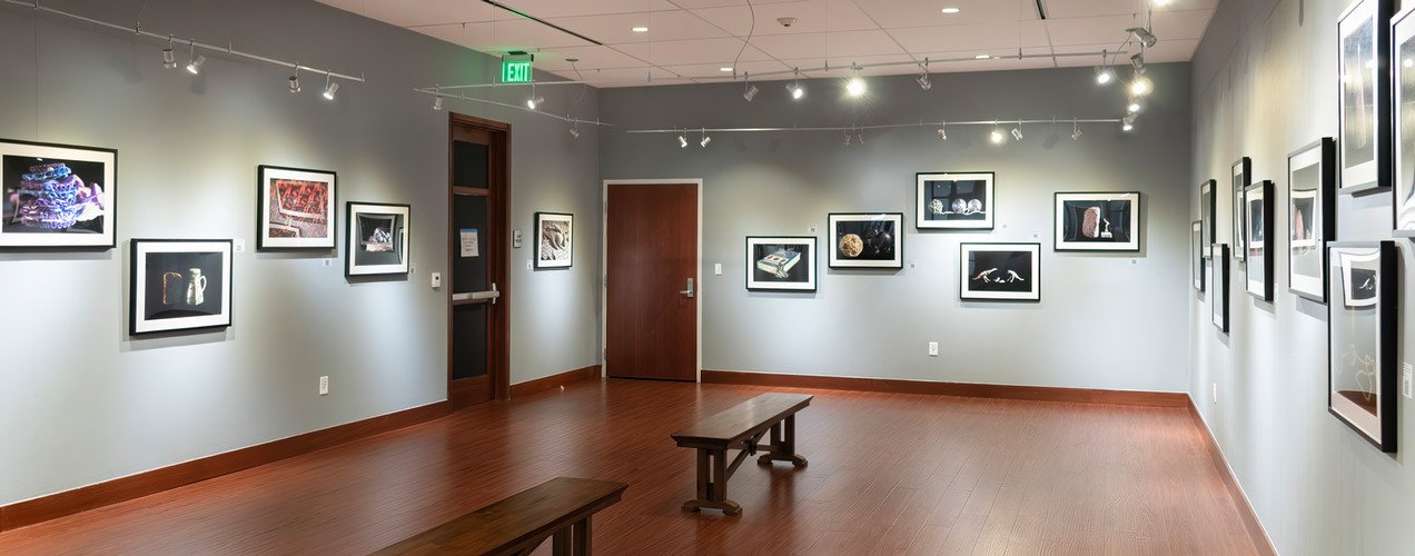 installation view of the back with many picture frames and benches in the middle