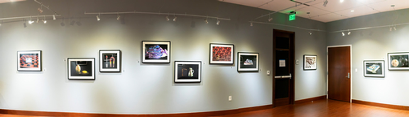 installation view with pictures of jane szbos pictures.  