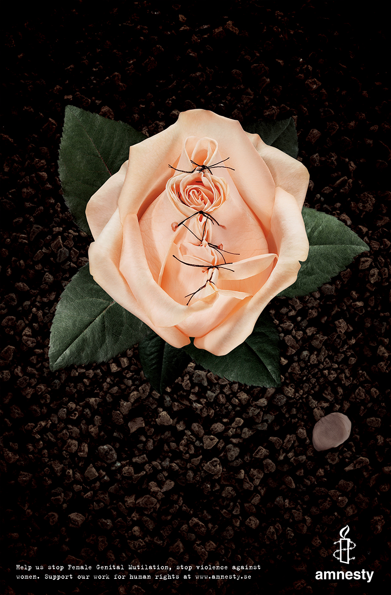 "Female Gential Mutilation: Apricot Rose" by Volonaire