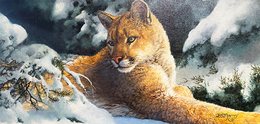 "Undercover" by Bonnie Marris