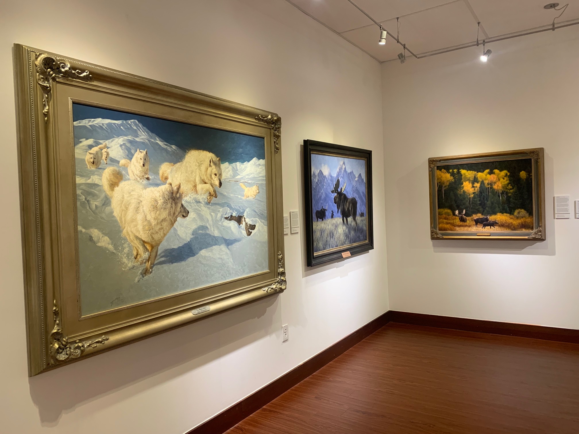 Image of the Huntley Gallery showing "The life and terrain of the wild West" text didactic and artwork