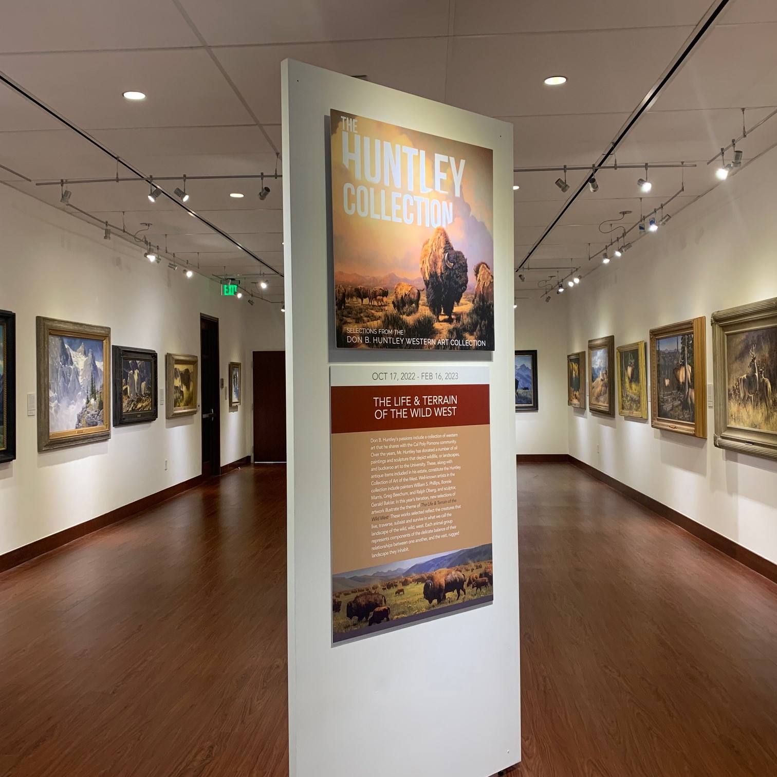 Image of the Huntley Gallery showing "The life and terrain of the wild West" text didactic and artwork
