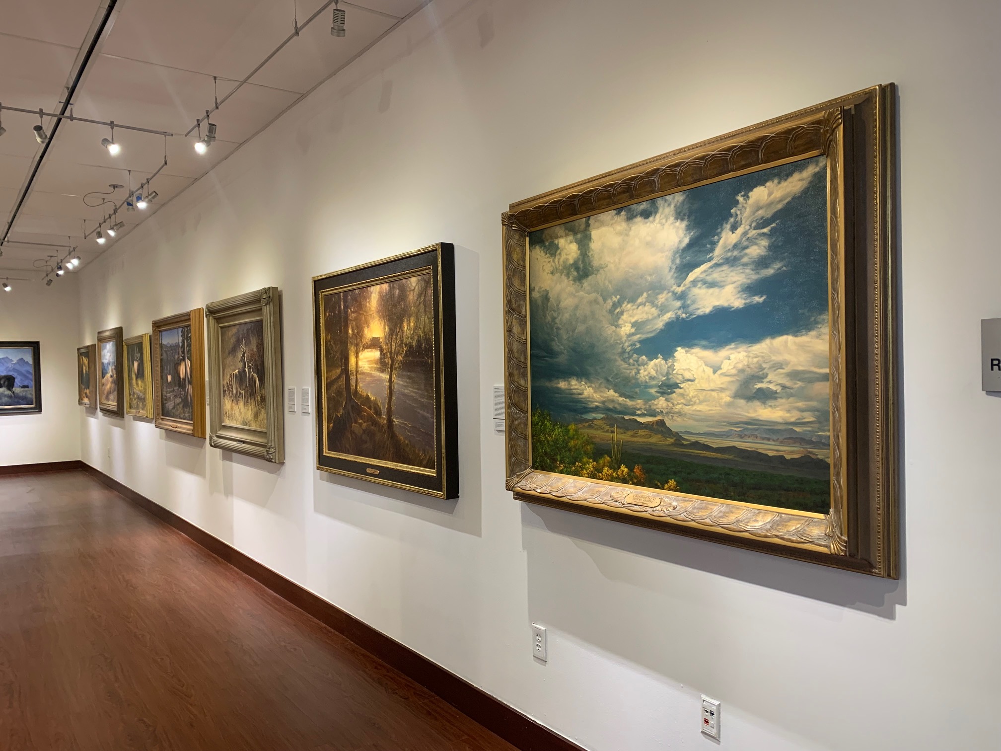 Image of the Huntley Gallery showing "The life and terrain of the wild West" text didactic and artwork