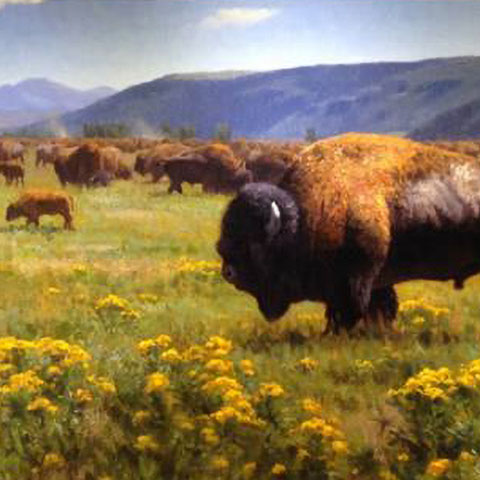 The Don B. Huntley Collection. Painting of buffalos roaming a flower field