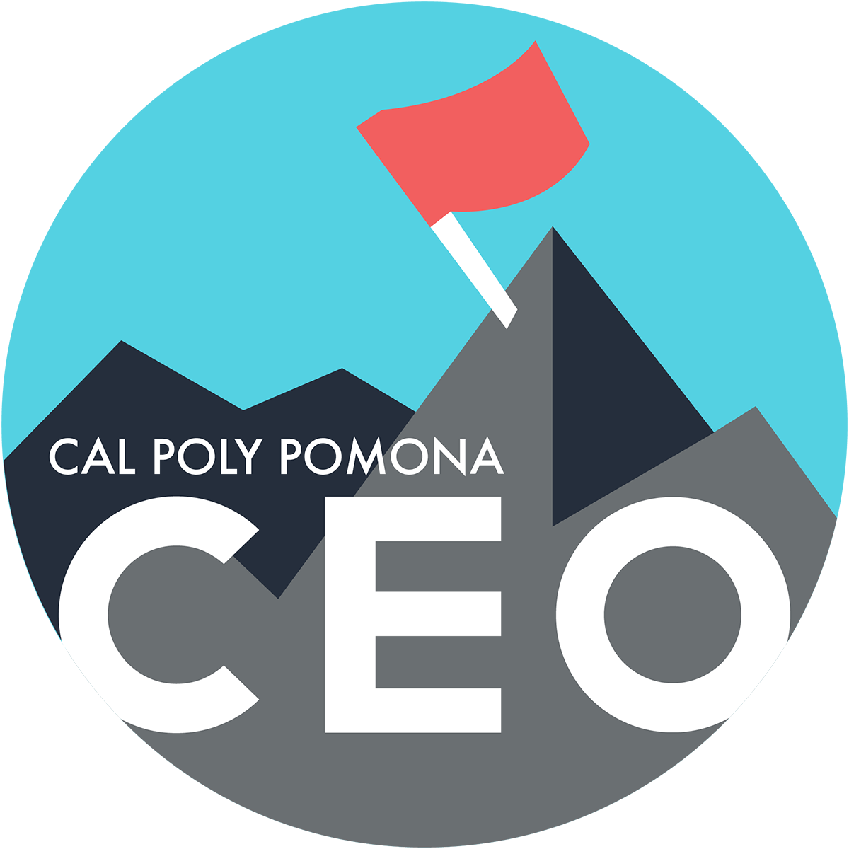 CEO Logo