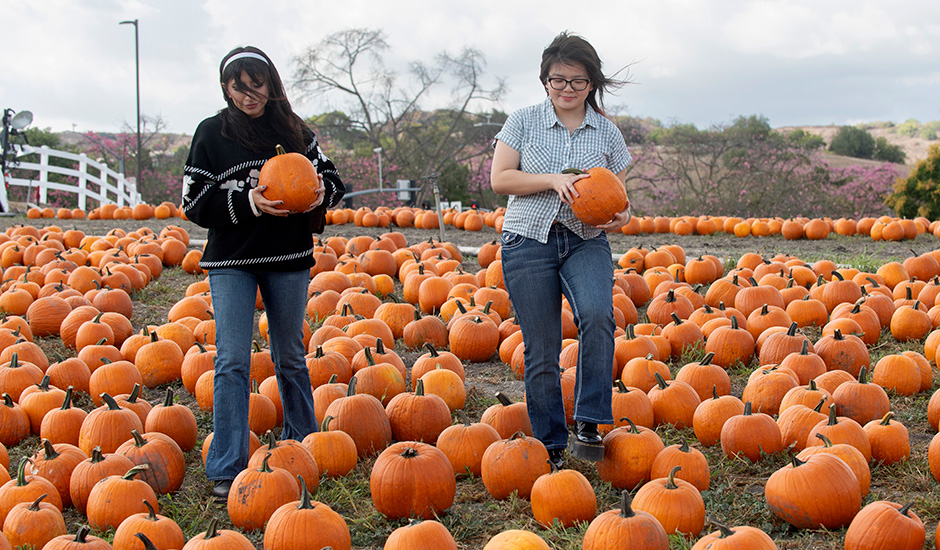 Two female students walk through the Cal Poly Pomona Pumpkin Patch.