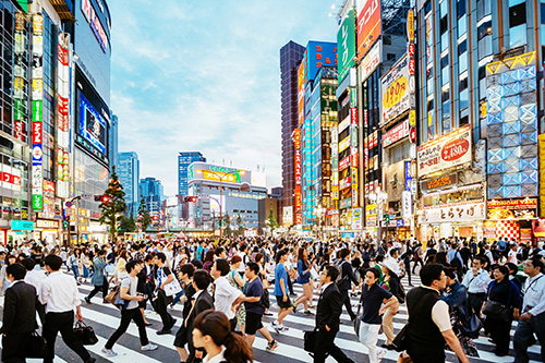 Zebra crossing in Shinjuku, Tokyo at sunset