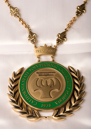 university medallion