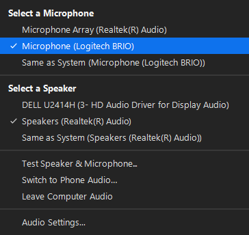 picture of the logitech brios name in zooms audio input settings