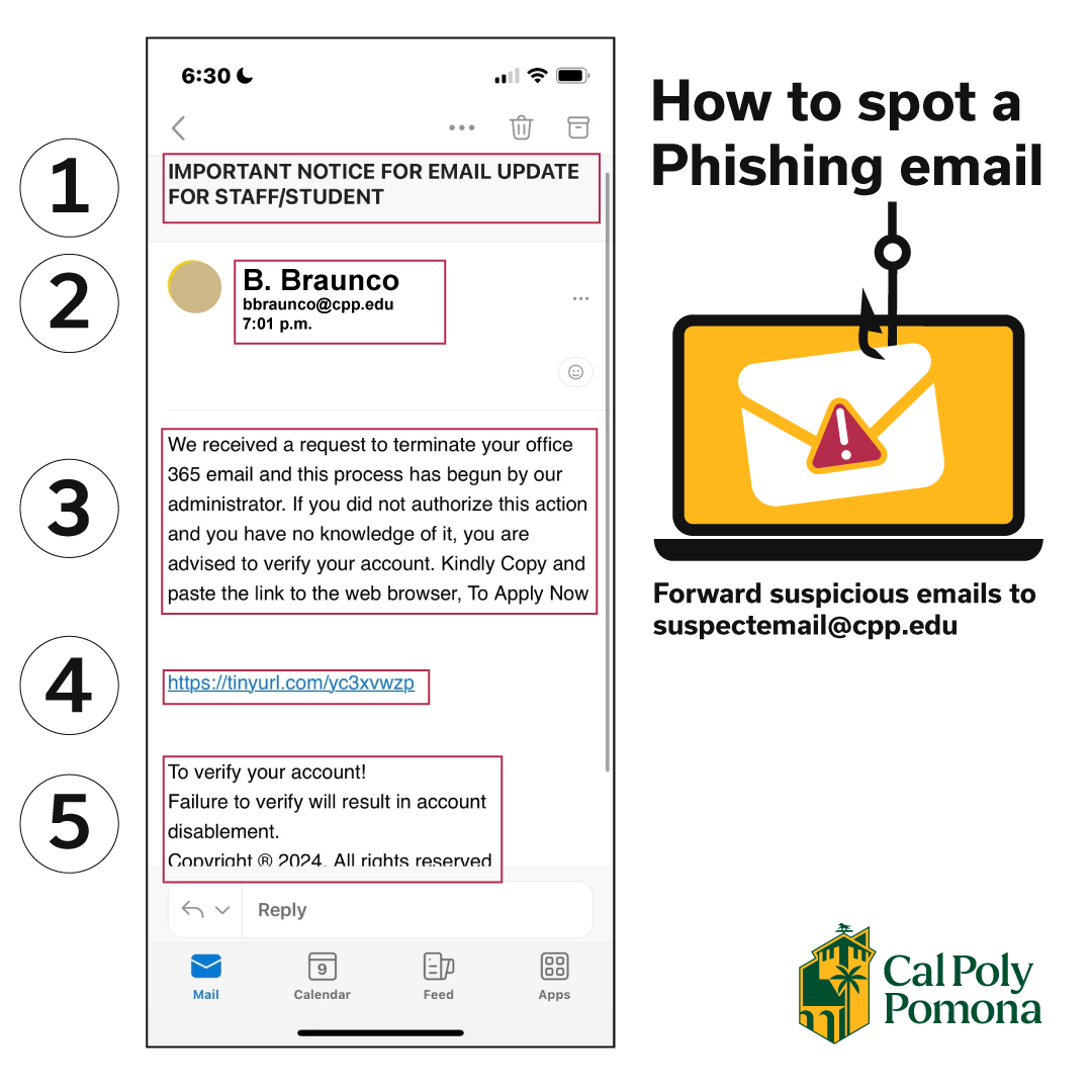 graphic with five clues for spotting a phishing email