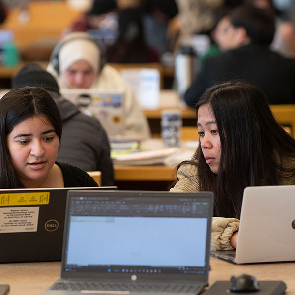 two students studying on laptops indoors