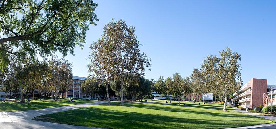 University Quad at daytime