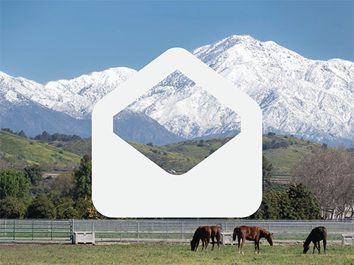 Email icon