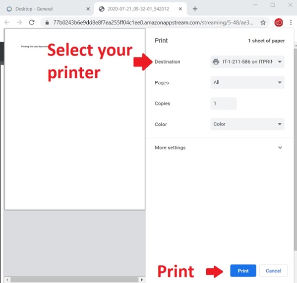 print to your printer