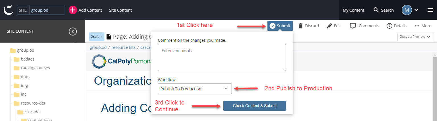 selecting publish to production option