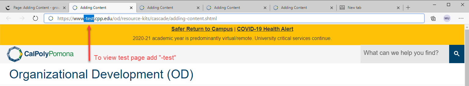 test view