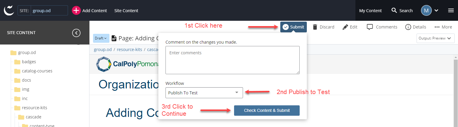 selecting publish to test option