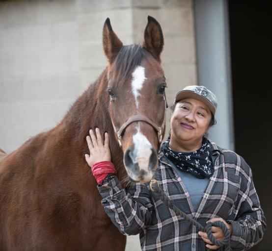 taking care of horses