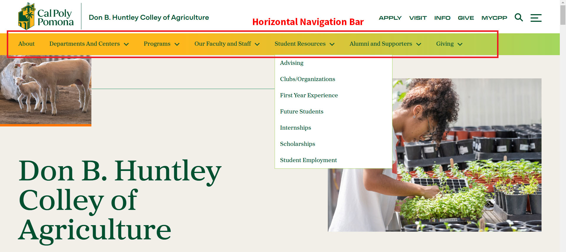 college landing page nav bar