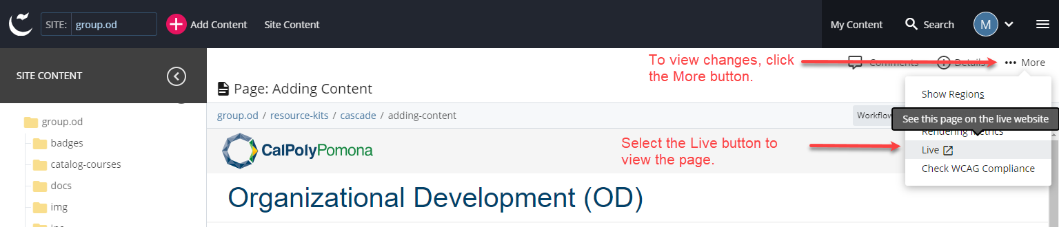 content page live