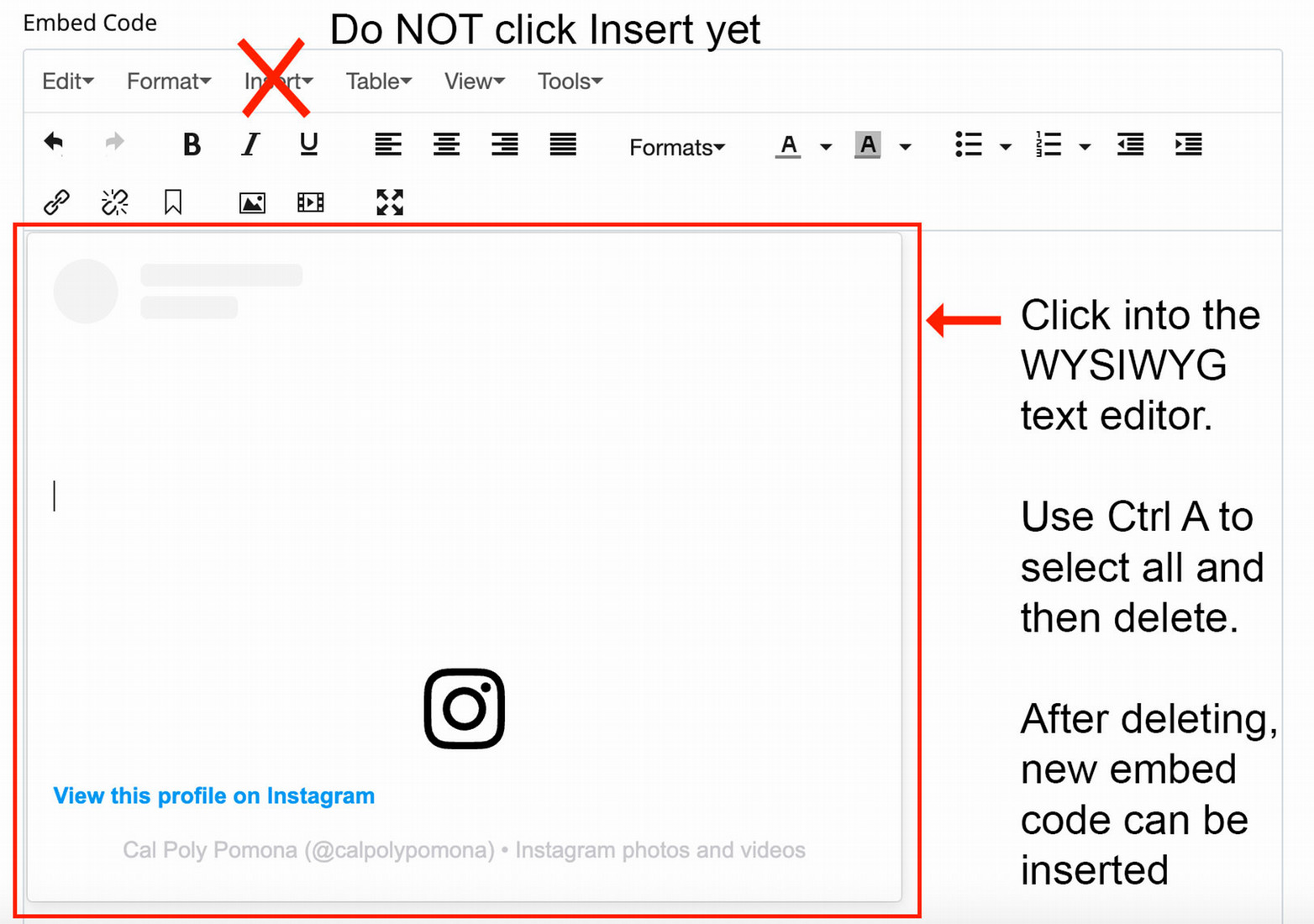 Screenshot of publisher deleting social media embed code in Cascade