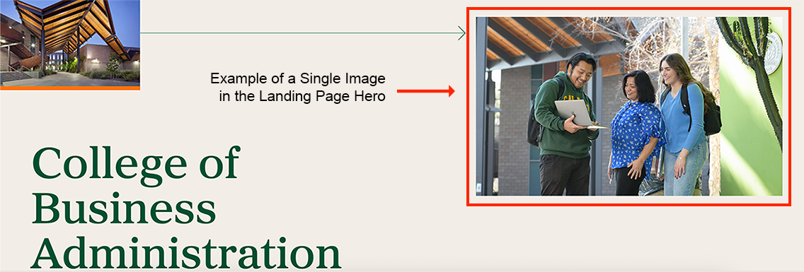 Screenshot of a single image in a landing page hero