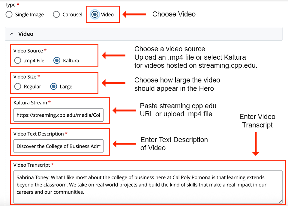 Screenshot of Cascade Editor for Hero Landing Page Video
