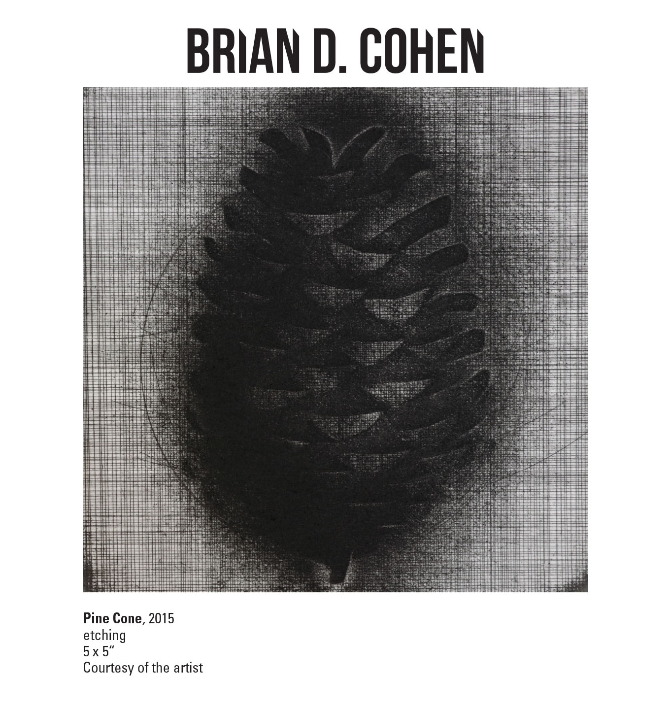 Brian D. Cohen, Pine Cone, 2015. Etching. 5 x 5“ Courtesy of the artist. An etching of a pine cone at the center