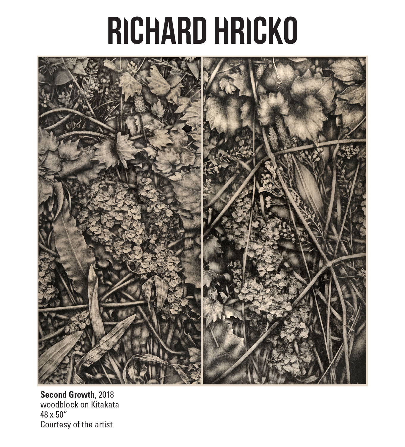 Richard Hricko, Second Growth, 2018. Woodblock on Kitakata. 48 x 50“ Courtesy of the artist. Various types of grass and leaves in black and brown color