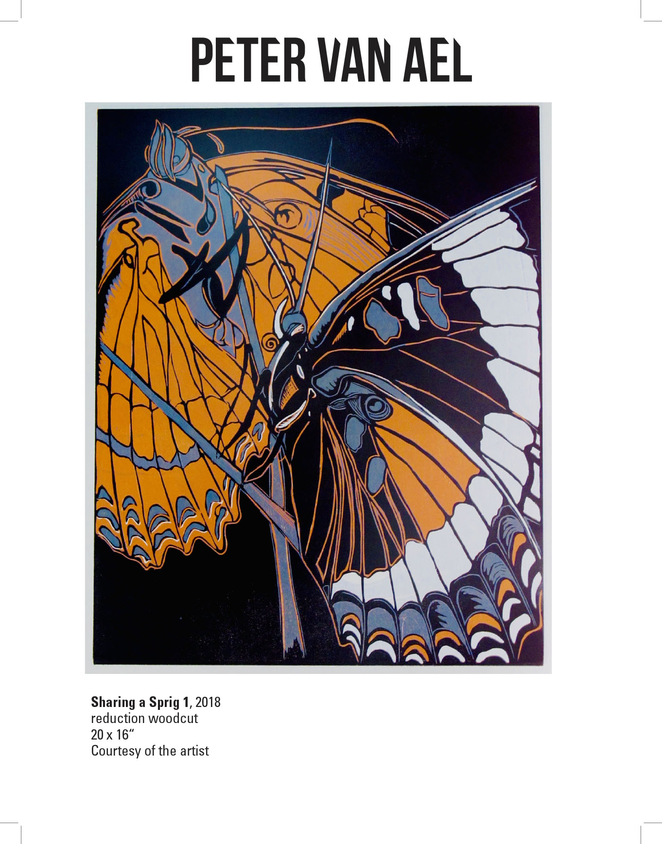 Peter Van Ael, Sharing a Sprig 1, 2018 reduction woodcut. 20 x 16“ Courtesy of the artist. A woodcut print of a butterfly with orange, white, blue, and black wings.